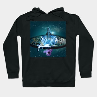 Flat Earth Hoodie